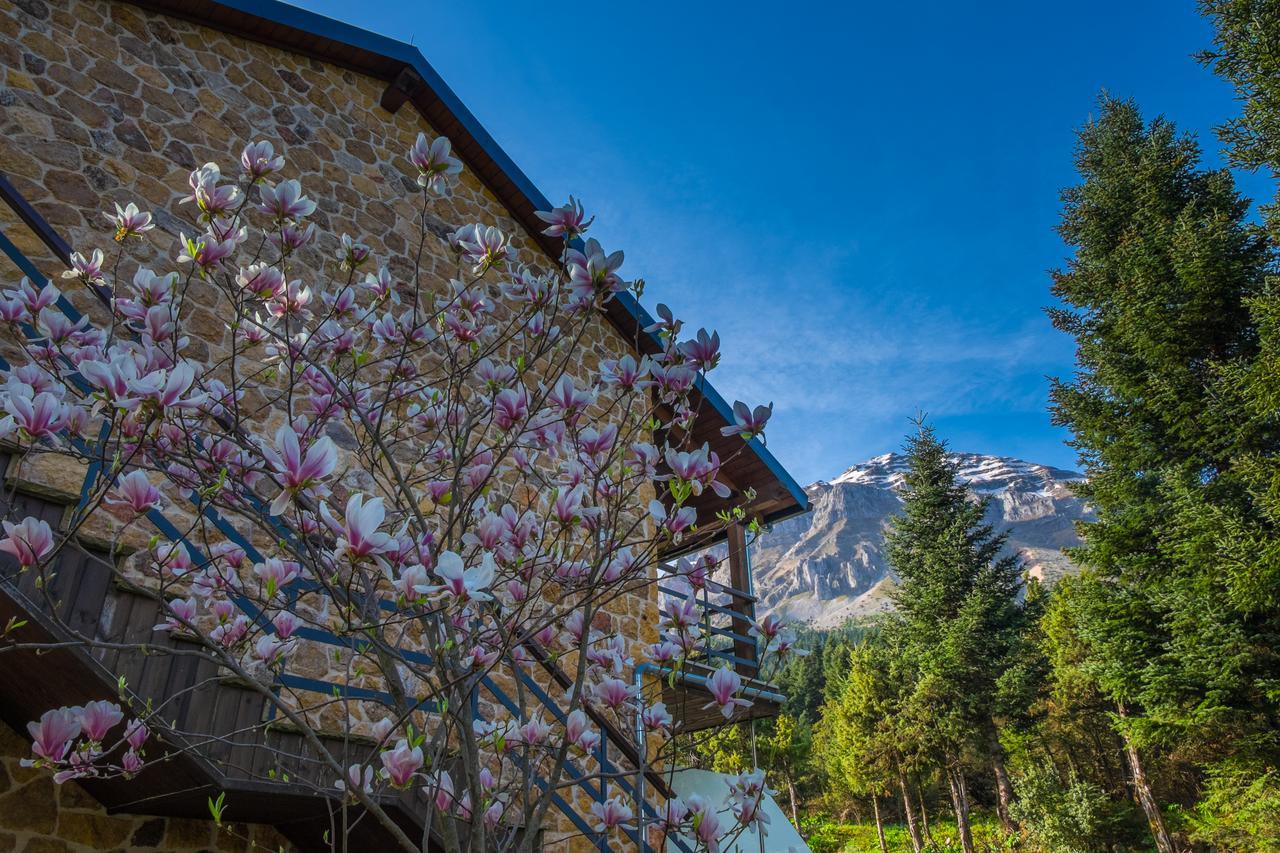 Orizontes Tzoumerkon Hotel Resort Pramanta Luaran gambar